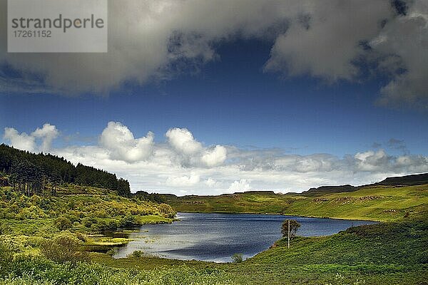 See  Landschaft  Loch Tor  Mull  Innere Hebriden  Hebriden  Highlands  Hochland  Schottland  Großbritannien  Europa