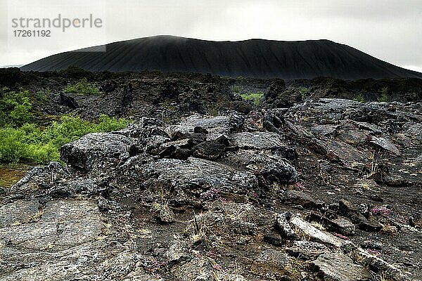 Lavaformationen  Vulkangestein  erkalteter Lavastrom  Blick auf Hverfjall  Dimmuborgir  Mývatn  Island  Europa