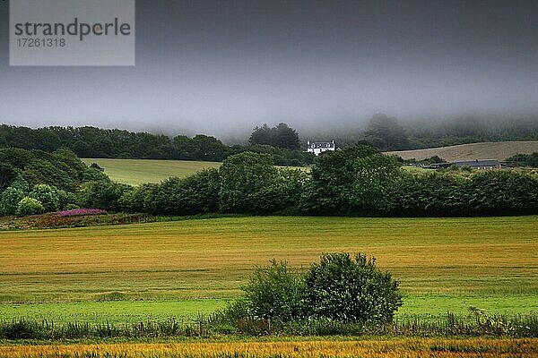 Landschaft  Hügellandschaft  Cottage  National Trust for Scotland  Culzean Castle  Maybole  South Ayrshire  Lowlands  Schottland  Großbritannien  Europa