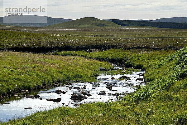 Landschaft  Moor  Fluss  Caithness  Nordküste  Highlands  Hochland  Schottland  Großbritannien  Europa