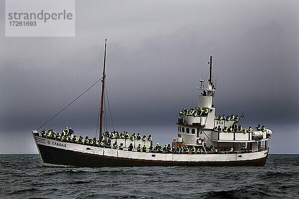 Whale-Watching-Tour  Walbeobachtungs-Tour  Boot mit Touristen  Walfangboot  Húsavík  Nord-Island  Island  Europa
