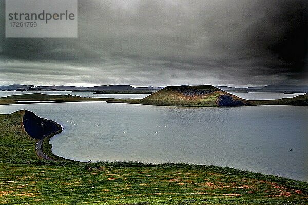 Pseudokrater  grauer Himmel  Skútustaðir  Mývatn  Island  Europa