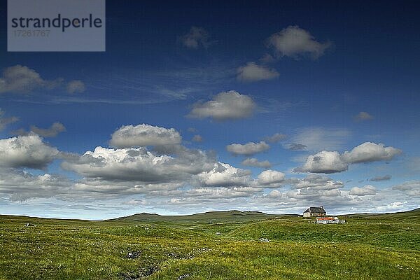 Landschaft  Cottage  Caithness  Nordküste  Highlands  Hochland  Schottland  Großbritannien  Europa