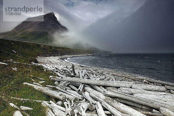 Treibholz  Strand  Berg im Nebel  Fjord  Halbinsel Strandir  Vestfirðir  Westfjorde  Nord-West-Island  Island  Europa
