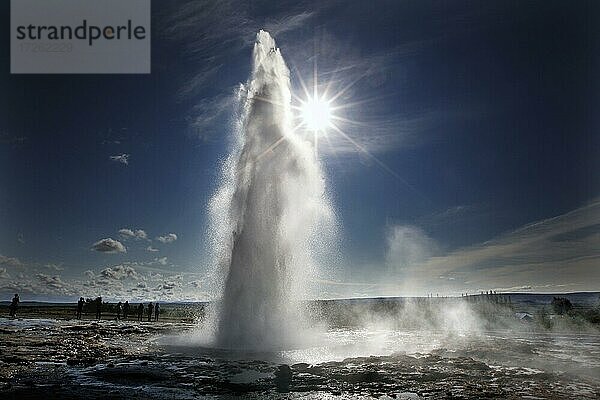 Geysir  Heißwasserspringquelle  Sonne  Gegenlicht  Eruption  Wasserfontaine  Strokkur  Haukadalur  Geothermalgebiet  Goldener Zirkel  Süd-West-Island  Island  Europa