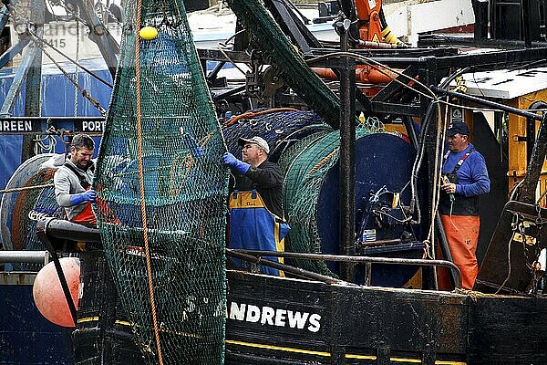 Hafen  Fischerboot  Fischer  Fischernetz  Netz  Netz flicken  Pittenweem  Fife  Firth of Forth  Midlands  Zentralschottland  Schottland  Großbritannien  Europa