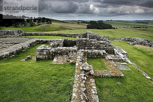 Hadrianswall  Hadrian's Wall  römisches Grenzbefestigungssystem  britannischer Limes  Festungskette  Fort  Ruine  Kastell  Housestead  Parish Bardon Mill  Hexham  Northcumbria  Nordostengland  England  Großbritannien  Europa