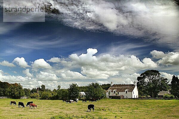 Castle Douglas  Landschaft  Cottage  Himmel mit Wolken  Dumfries  Dumfries and Galloway  Lowlands  Schottland  Großbritannien  Europa