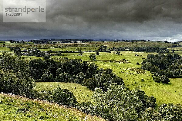 Hügellandschaft  Birdoswald  Gilsland  Brampton  City of Carlise  Cumbria  Nordengland  England  Großbritannien  Europa