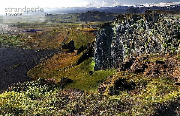 Landschaft  Kap Dyrhólaey  Vík  Südküste  Island  Europa