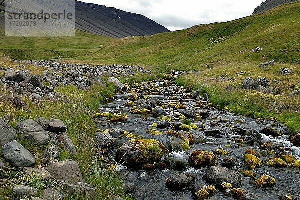 Fluss  Svalvogaleið  Vestfirðir  Westfjorde  Nord-West-Island  Island  Europa