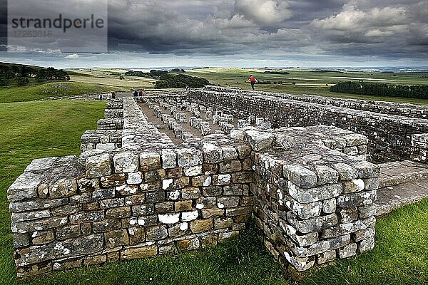 Hadrianswall  Hadrian's Wall  römisches Grenzbefestigungssystem  britannischer Limes  Festungskette  Fort  Ruine  Kastell  Housestead  Parish Bardon Mill  Hexham  Northcumbria  Nordostengland  England  Großbritannien  Europa