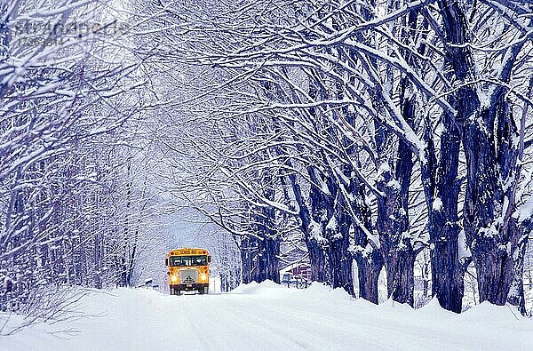 Schulbus an einem kalten Wintertag in Jericho Vermont USA