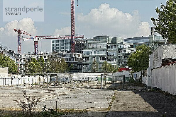 Brachliegender Baugrund und Baukräne im Büroviertel Düsseldorf-Seestern  Nordrhein-Westfalen  Deutschland  Europa