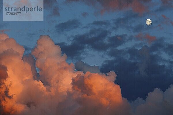 Rosa Wolken  Abendrot  Abendhimmel mit Wolken  Provinz Quebec  Kanada  Nordamerika