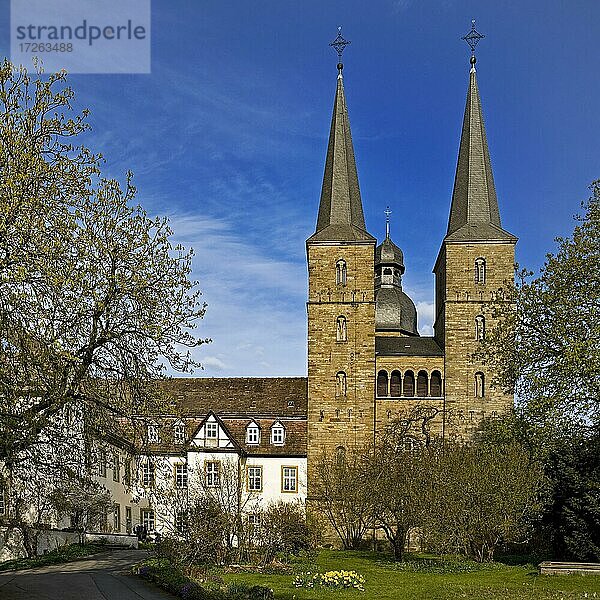 Abtei Marienmünster  ehemaliges Benediktinerkloster  Marienmünster  Ostwestfalen-Lippe  Nordrhein-Westfalen  Deutschland  Europa