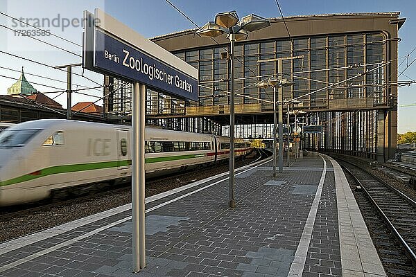 Bahnhof Berlin Zoologischer Garten  kurz Bahnhof Zoo  mit fahrendem ICE  Charlottenburg  Berlin  Deutschland  Europa