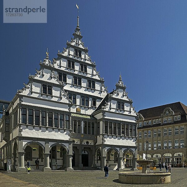 Rathaus im Stil der Weserrenaissance  Paderborn  Ostwestfalen-Lippe  Nordrhein-Westfalen  Deutschland  Europa