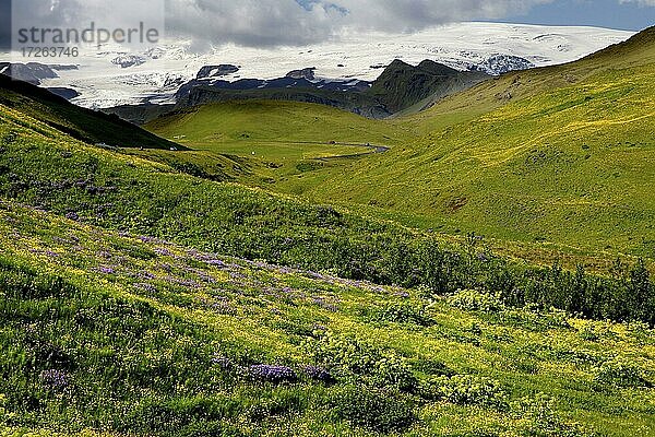 Landschaft  Vík  Südküste  Island  Europa