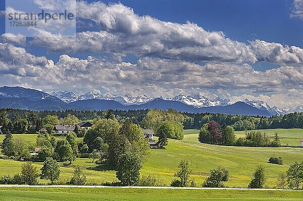 Frühlingshafte Voralpenlandschaft mit Haufenwolken (Cumulus)  bei Deining  Oberbayern  Bayern  Deutschland  Europa