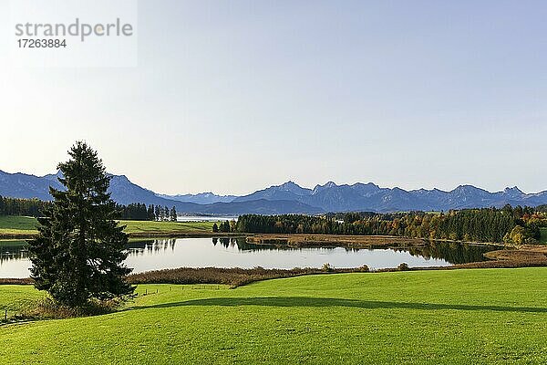 Forggensee bei Füssen  Tannheimer Berge  Ostallgäu  Bayern  Deutschland  Europa