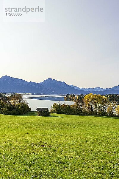 Forggensee bei Füssen  Tannheimer Berge  Ostallgäu  Bayern  Deutschland  Europa