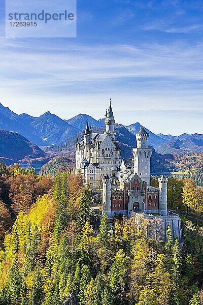 Schloss Neuschwanstein im Herbst  bei Schwangau  Ostallgäu  Allgäu  Schwaben  Bayern  Deutschland  Europa