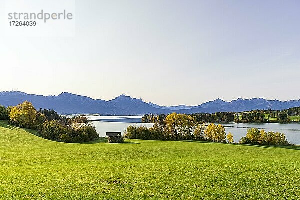 Forggensee bei Füssen  Tannheimer Berge  Ostallgäu  Bayern  Deutschland  Europa