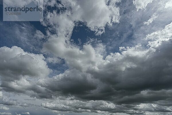 Regenwolken (Nimbostratus)  Bayern  Deutschland  Europa