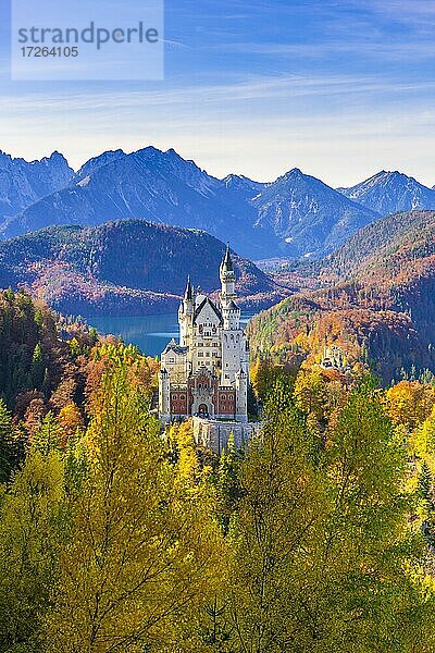 Schloss Neuschwanstein im Herbst  bei Schwangau  Ostallgäu  Allgäu  Schwaben  Bayern  Deutschland  Europa