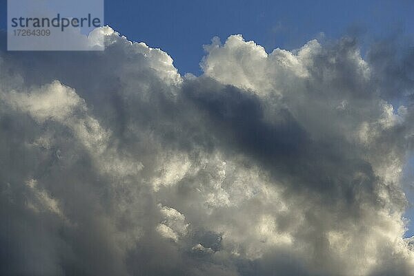 Regenwolken (Nimbostratus)  Bayern  Deutschland  Europa