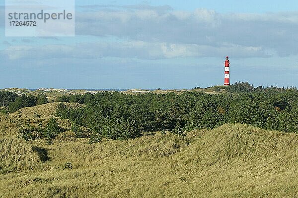Leuchtturm in Dünenlandschaft  Nebel  Insel Amrum  Nordfriesische Inseln  Schleswig-Holstein  Deutschland  Europa