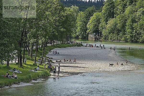 Isarufer mit Menschen und Hunden  Bad Tölz  Oberbayern  Bayern  Deutschland  Europa