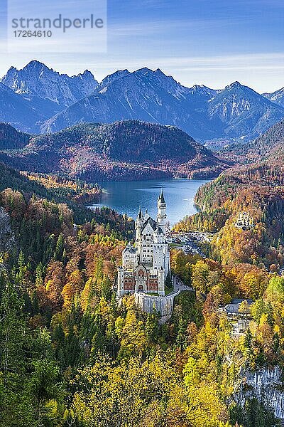 Schloss Neuschwanstein im Herbst  bei Schwangau  Ostallgäu  Allgäu  Schwaben  Bayern  Deutschland  Europa