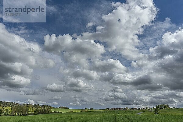 Weizenfelder und ein fränkisches Dorf mit Wolkenhimmel  Bayern  Deutschland  Europa