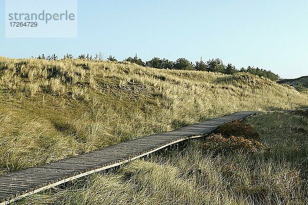 Holzbohlenweg am Kniepsand  Wittdün  Insel Amrum  Nordfriesische Inseln  Schleswig-Holstein  Deutschland  Europa