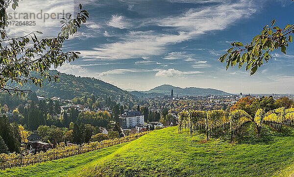 Panoramaaufnahme- Freiburger Münster im Herbst mit Weinberg  Freiburg im Breisgau  Baden-Württemberg  Deutschland  Europa