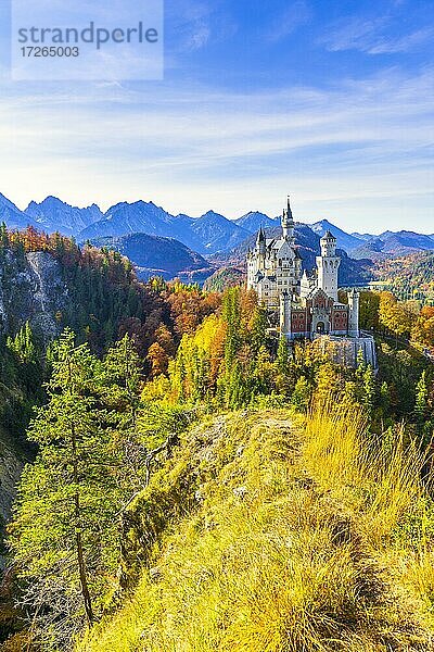 Schloss Neuschwanstein im Herbst  bei Schwangau  Ostallgäu  Allgäu  Schwaben  Bayern  Deutschland  Europa