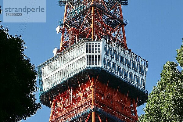 Tokyo Tower mit Vegetation vor blauem Himmel  Tokio  Japan  Asien