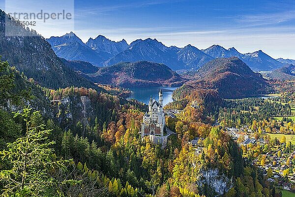 Schloss Neuschwanstein im Herbst  bei Schwangau  Ostallgäu  Allgäu  Schwaben  Bayern  Deutschland  Europa