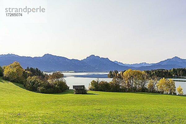 Forggensee bei Füssen  Tannheimer Berge  Ostallgäu  Bayern  Deutschland  Europa