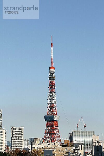 Stadtbild mit Tokyo Tower vor blauem Himmel  Tokyo  Japan  Asien