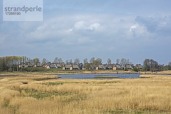 Feriendorf Reetdorf Geltinger Birk  Naturschutzgebiet Geltinger Birk  Geltinger Bucht  Schleswig-Holstein  Deutschland  Europa