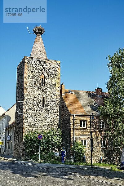 Storchenturm Altlandsberg  Brandenburg  Deutschland  Europa