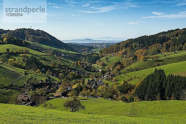 Blick vom Hühnersedel ins Rheintal  Herbst  bei Freiamt  Freiburg im Breisgau  Schwarzwald  Baden-Württemberg  Deutschland  Europa