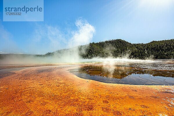 Dampfende heiße Quelle mit farbigen Mineralienablagerungen  Grand Prismatic Spring  Midway Geyser Basin  Yellowstone Nationalpark  Wyoming  USA  Nordamerika