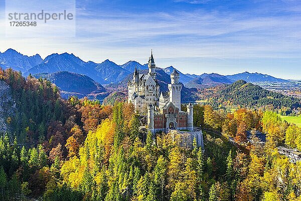 Schloss Neuschwanstein im Herbst  bei Schwangau  Ostallgäu  Allgäu  Schwaben  Bayern  Deutschland  Europa