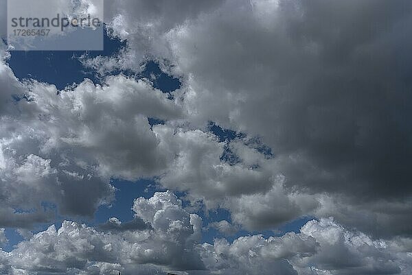 Regenwolken (Nimbostratus)  Bayern  Deutschland  Europa