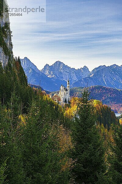 Schloss Neuschwanstein im Herbst  bei Schwangau  Ostallgäu  Allgäu  Schwaben  Bayern  Deutschland  Europa