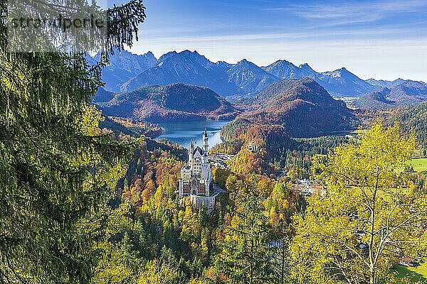 Schloss Neuschwanstein im Herbst  bei Schwangau  Ostallgäu  Allgäu  Schwaben  Bayern  Deutschland  Europa